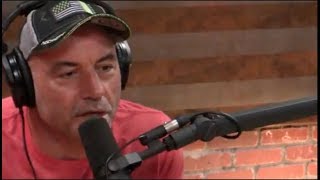 Joe Rogan  Jiu Jitsu is the Truest Martial Art [upl. by Blunt]