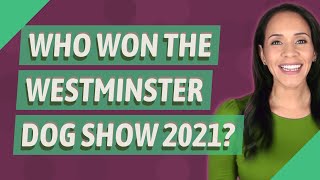 Who won the Westminster Dog Show 2021 [upl. by Allina]