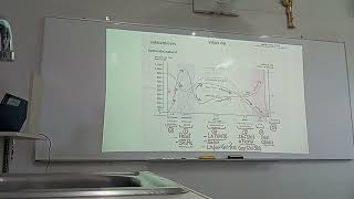 MICROBIOLOGIA  FASE 3  PRACTICA 01  02 [upl. by Akenor]