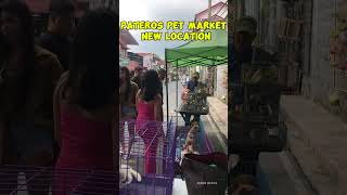 PATEROS PET MARKET NEW LOCATION [upl. by Aluap]