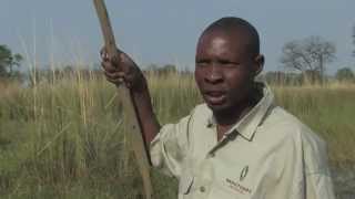 Zambeze Cruise around the world Documentary Discovery History [upl. by Trina]