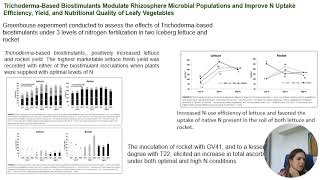 Trichoderma and their bioactive compounds as biofortification strategies of food crops [upl. by Enilehcim]