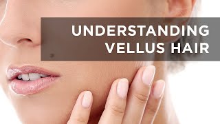 Osmosis Beauty Understanding Vellus Hairs Peach Fuzz [upl. by Ajnat]