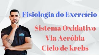 Curso Fisiologia do Exercício Aplicada  Sistema Oxidativo  Via Aeróbia ciclo de Krebs  Aula 04 [upl. by Melloney]