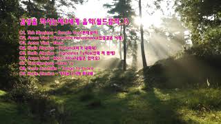 감성을 적시는 월드뮤직 [upl. by Farika248]