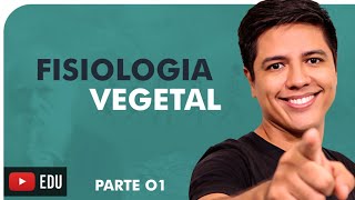 FISIOLOGIA VEGETAL  XILEMA E FLOEMA  BOTÂNICA TRANSPORTE DE SEIVA  Prof Kennedy Ramos [upl. by Eremehc885]