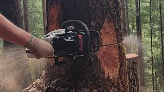 LNS Ported Stihl MS400C [upl. by Spear]