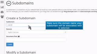 cPanel How to Create a Subdomain [upl. by Notwen848]