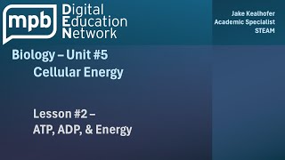 MPB Biology Unit 5 Lesson 2 ATP ADP and Energy [upl. by Eednas]