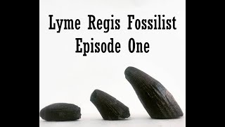 Fossil Hunting at Lyme Regis 2021 Episode 1 [upl. by Nerin14]