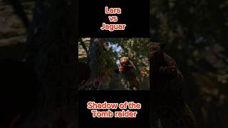 Lara Vs Jaguar [upl. by Yruoc]