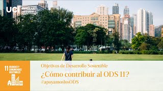 Objetivos de Desarrollo Sostenible ¿Cómo contribuir al ODS 11 [upl. by Tedmann626]