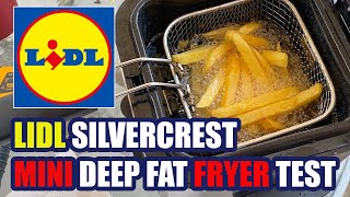 Lidl Silvercrest Mini Deep Fat Fryer Review [upl. by Karame]