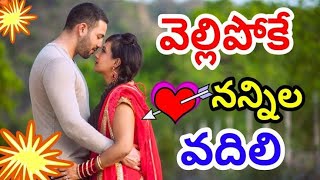 Vellipoke Vellipoke nannaila vadili telugu song [upl. by Tiersten]