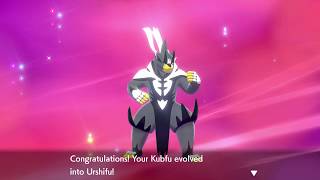 How to evolve Kubfu into Urshifu in Pokémon Sword and Shields Isle of Armor DLC  Darkness Finale [upl. by Nigen465]