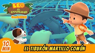 El Tiburón Martillo Común Español  Leo El Explorador Episodio  Animación  Familia  Niños [upl. by Ertsevlis]