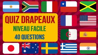 Quiz Drapeaux Niveau Facile  Devine Le Pays Par Son Drapeau [upl. by Niletac]