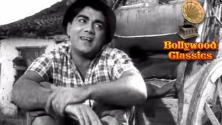 Mohammed Rafi Hit Song  Main Rikhsha Wala Main Riksha Wala  Shankar Jaikishan  Chhoti Bahen [upl. by Kirven76]