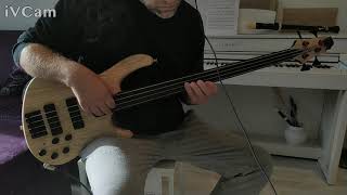 dívam se dívam  Petr Hapka bass cover Cort B4FL [upl. by Kwok]