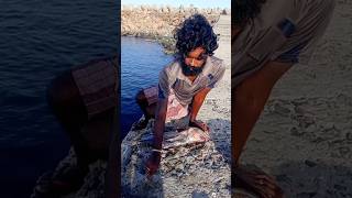 Young Man Using Big Fish to Catch Variety Fishes fishing fishingvideos thoondilulagam seafishing [upl. by Wailoo]