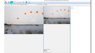 Traitement dune Chronophotographie sous Regressi [upl. by Mundt]