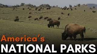 Americas 62 National Parks Explained [upl. by Shaeffer]