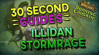 Illidan Stormrage  Black Temple  30 Second Guides [upl. by Ettenuj]