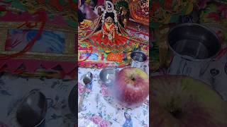 वृन्दावन मेरो वृन्दावन radheradhe song bhakti vrindavan [upl. by Kcam]