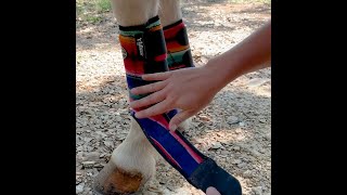 How to Put Sport Boots On Your Horse [upl. by Eido]