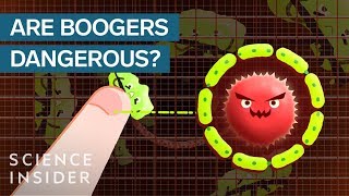 Is Eating Boogers Actually Unhealthy [upl. by Ysset]