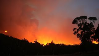 Paul Murray looks back five years on from Black Summer bushfires [upl. by Ayomat]