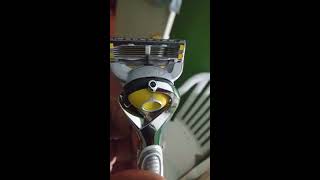 Gillette MACH 3 VS Fusion Proshield 5 Comparing Razor Blades Review [upl. by Anuahc]