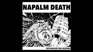 Napalm Death  Scum Peel Sessions Official Audio [upl. by Eusassilem]