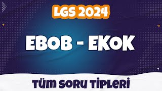 Ebob Ekok  Tüm SORU TİPLERİ  LGS 2024 [upl. by Hteik754]