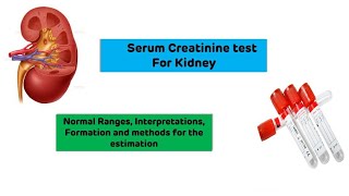 Creatinine Test Kidney Function Test  Dr Amit Maheshwari [upl. by Ennaxxor]