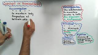 Introduction Of Homeostasis Class 12 Biology [upl. by Annez]