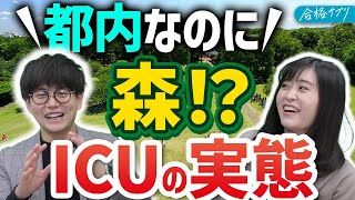 【もはや海外】ICU・国際基督教大学キャンパスツアー大学紹介 [upl. by Llerreg]