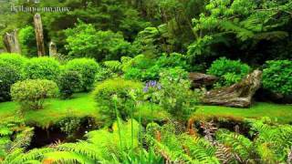 BEAUTIFUL GARDENS ☜Ⓞ☞ NEW ZEALAND [upl. by Enicnarf648]