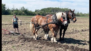 Wanham Plowing Match 2024 [upl. by Kcinemod]