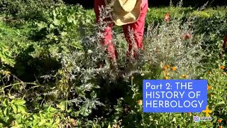 THE MAGICAL WORLD OF HERBOLOGY  PART 2  HISTORY OF HERBOLOGY [upl. by Acirrej]