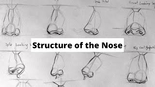 How to Draw a Nose  Beginners [upl. by Eurydice659]