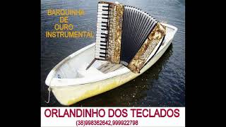 orlandinho dos teclados [upl. by Stoddard]