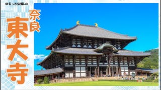 【東大寺01】奈良の大仏で有名な東大寺の起源をみていく！ [upl. by Augustus]