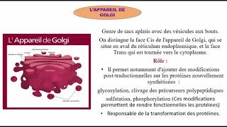 Les organites cellulaires [upl. by Wehner]