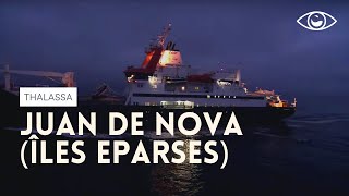 Juan de Nova îles Eparses Thalassa [upl. by Crandell]