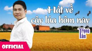 Hát Về Cây Lúa Hôm Nay  Trọng Tấn [upl. by Thessa]