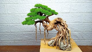 Betta Fish Tank Setup The Windswept Bonsai How to Build Aquarium Bonsai Tree Fish Tank Tutorials [upl. by Nosredneh]