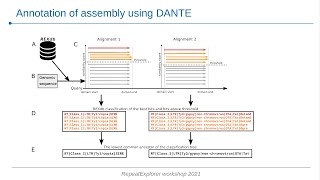 RepeatExplorer workshop 2021  Annotation of TEs using DANTE [upl. by Zohar]