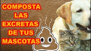 COMPOSTA LOS EXCREMENTOS DE TUS MASCOTAS 💩💩💩 PROCESO 8 MESES [upl. by Nappy]