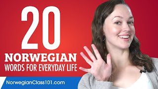 20 Norwegian Words for Everyday Life  Basic Vocabulary 1 [upl. by Zedekiah]